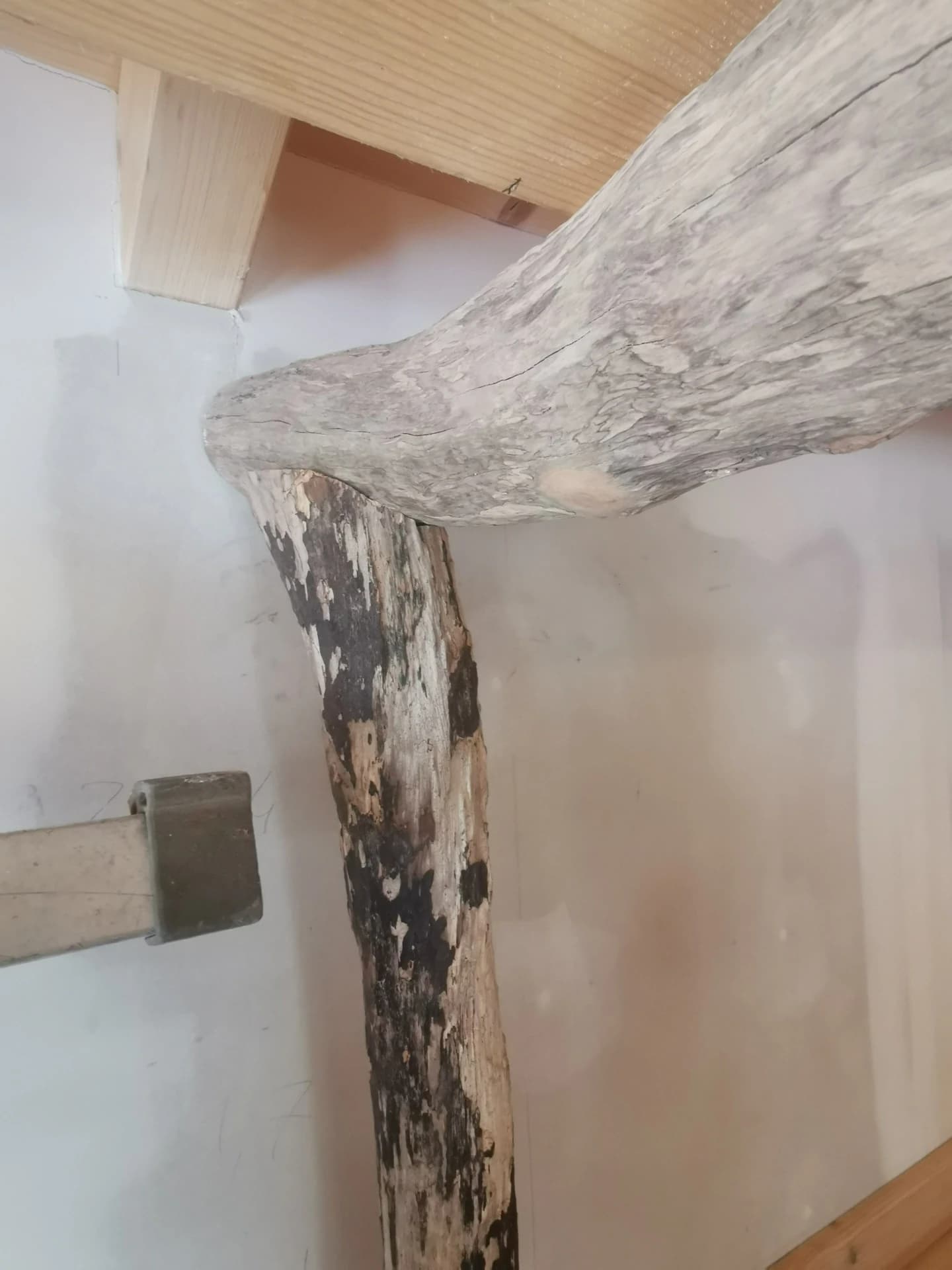 Réalisation de la rambarde avec du bois flotté récupéré à même le torrent