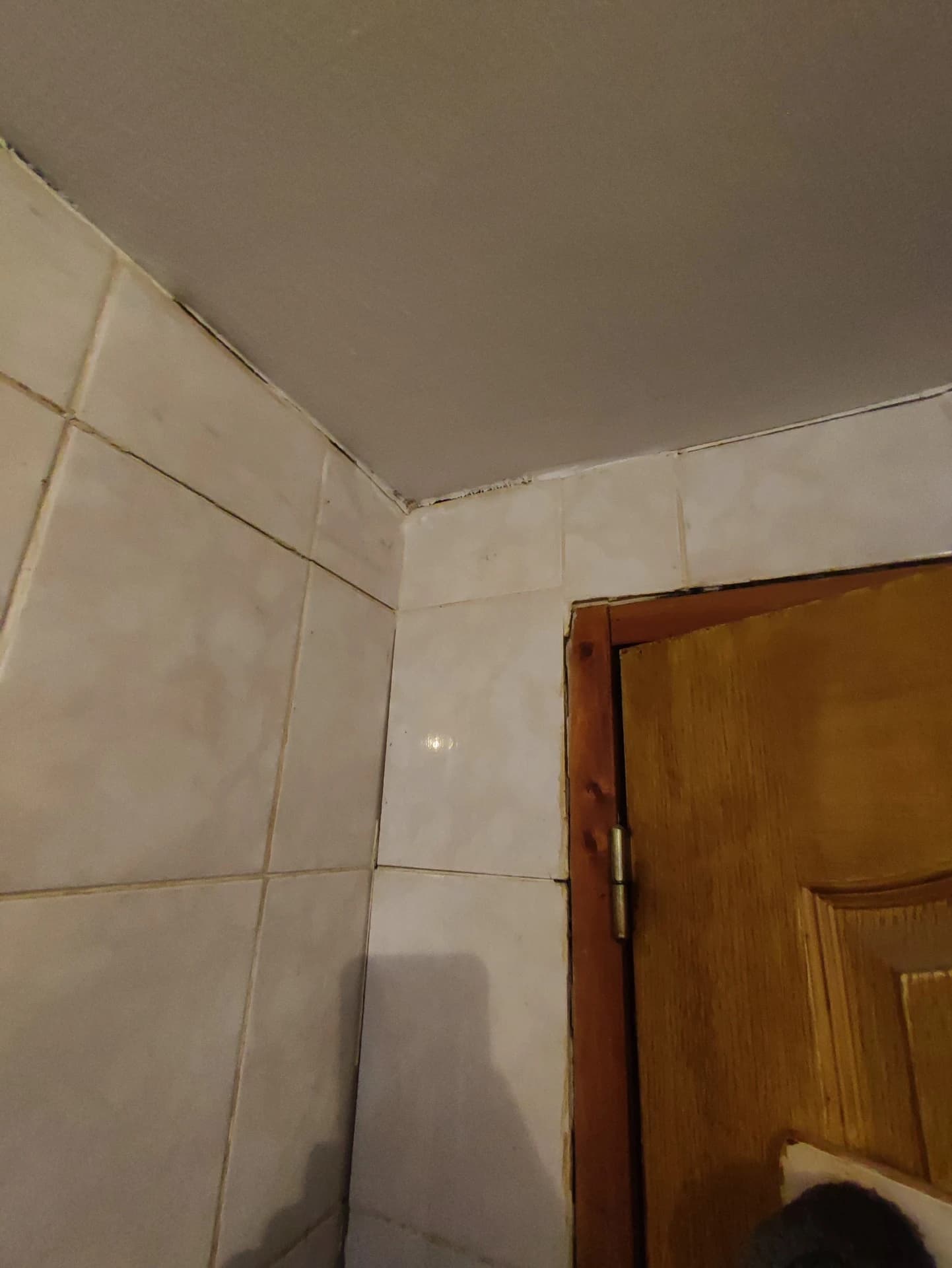 La cloison de la porte